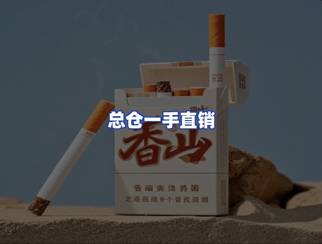 专业团队